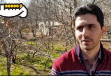 آخرین خبر خوبی که شنیدم: پرسپولیس رفت فینال آسیا