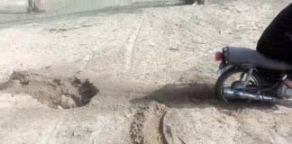 بازداشت حیوانآزار بوشهری