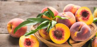 میوههای نوبرانه تابستانی ارزان میشود