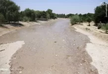 پس از ۵۲ روز/ «زاینده رود» زنده شد