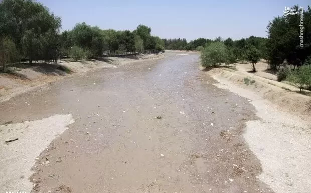 پس از ۵۲ روز/ «زاینده رود» زنده شد
