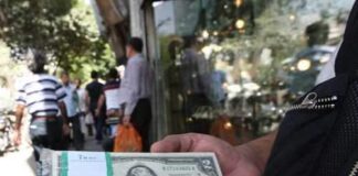 دستگیری دلالان ارز در خیابان کریمخان