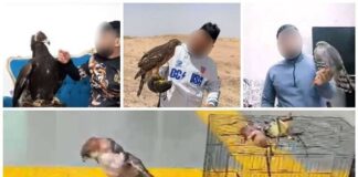 «دکتر عقاب» دستگیر شد