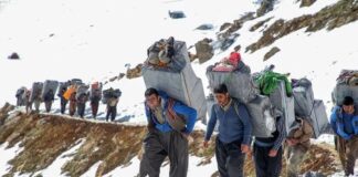 اصلاح لایحه کولبری