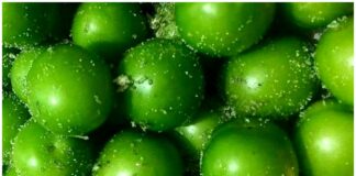 گوجه سبز کیلویی سه میلیون تومان!