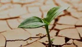 پیشنهادهای عملی برای تابآوری اجتماعی و اقتصادی