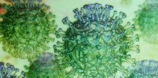 دو واکسن ویروس کرونا در مرحله آزمایشات انسانی قرار گرفت