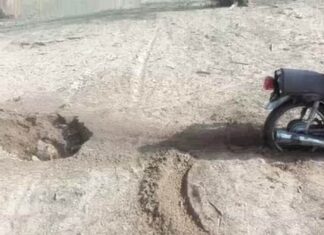 بازداشت حیوانآزار بوشهری