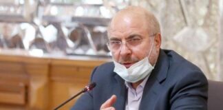 خودتون فجازی رو جا انداختید، ببینم با این چهکار میکنید