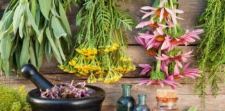 پیشنهادهای طب ایرانی برای فصل زمستان