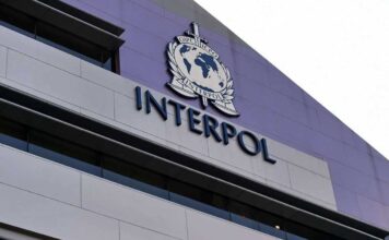 استرداد متهم پرونده کلاهبرداری ۱۰۰ میلیارد ریالی به کشور