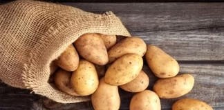 آقای سیبزمینی فعلا کوتاه آمد