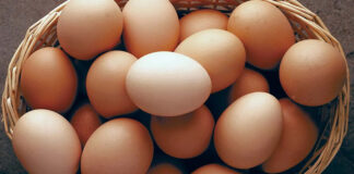 قیمت هرکیلو تخم مرغ در محل مرغداری، ۶۱ هزارتومان