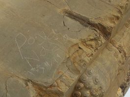 پویا و نادیا شناسایی شدند