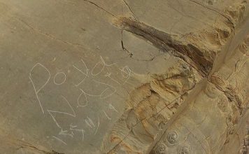 پویا و آندیا شناسایی شدند