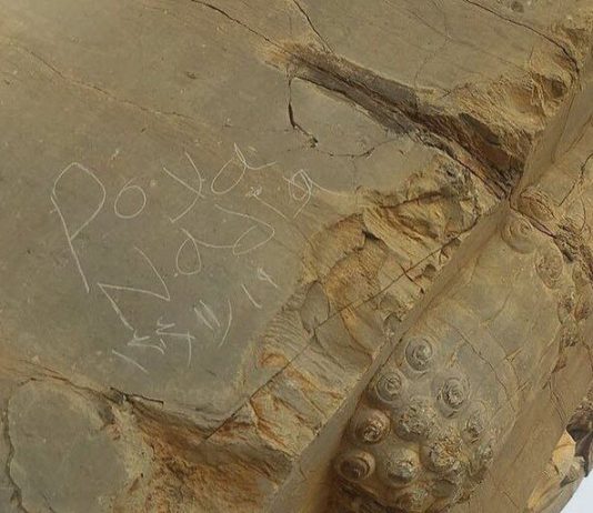 پویا و آندیا شناسایی شدند