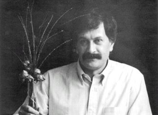 من بچه جوادیهام…