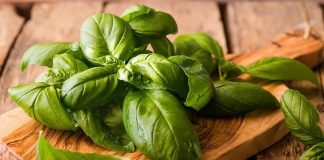 فواید ریحان را بدانید خوب است
