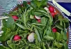 راز تازه ماندن سبزی خوردن حتی تا دو هفته