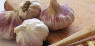 پودر سیر خانگی و تمام آنچه باید بدانید