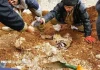 کشف پیکر مطهر یک شهید خیبری در طلاییه