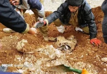 کشف پیکر مطهر یک شهید خیبری در طلاییه