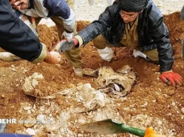 کشف پیکر مطهر یک شهید خیبری در طلاییه