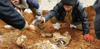 کشف پیکر مطهر یک شهید خیبری در طلاییه