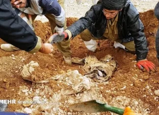 کشف پیکر مطهر یک شهید خیبری در طلاییه