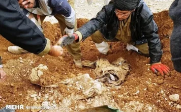 کشف پیکر مطهر یک شهید خیبری در طلاییه