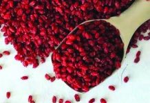 فواید زرشک در تقویت بینایی و سیستم ایمنی