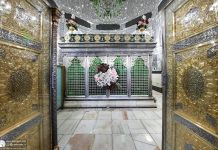 سیدِ کریم