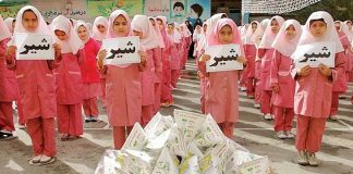 نان غنیشده، جایگزین احتمالی شیر در مدارس
