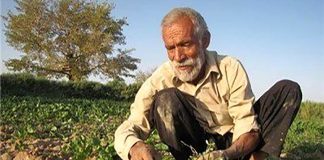 کشاورز روستایی کار میکند و دلال سود