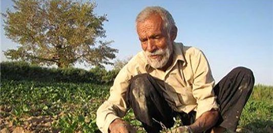 کشاورز روستایی کار میکند و دلال سود